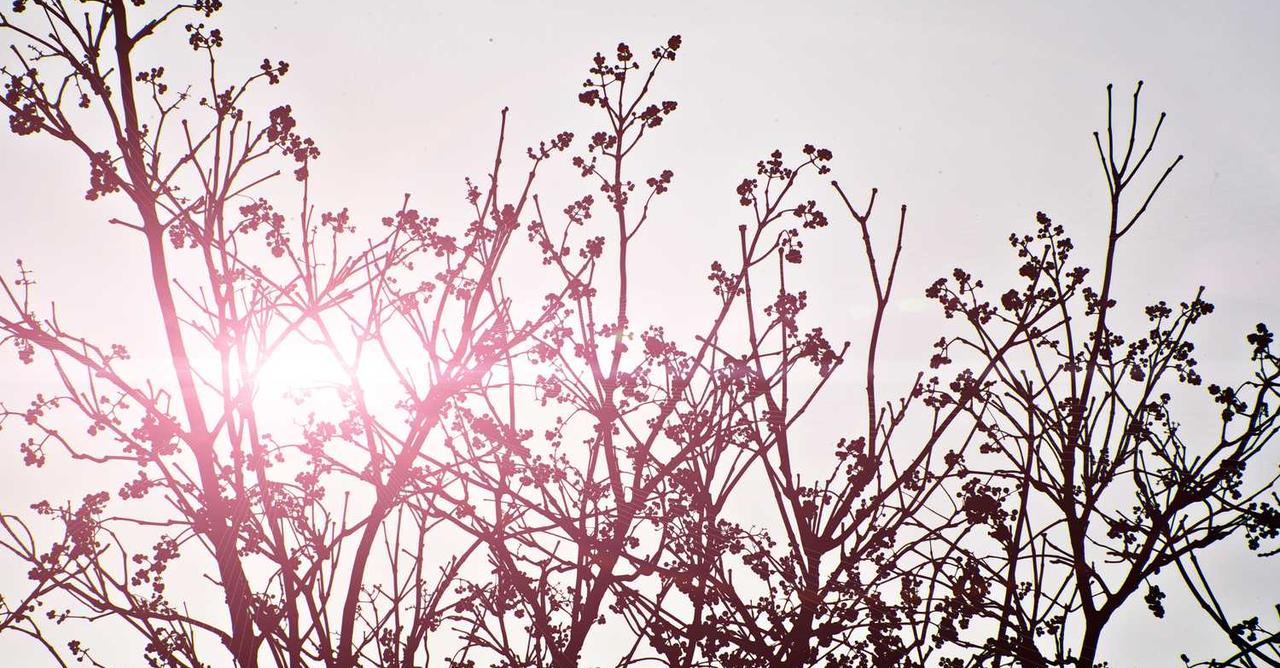 桌面版主要圖片